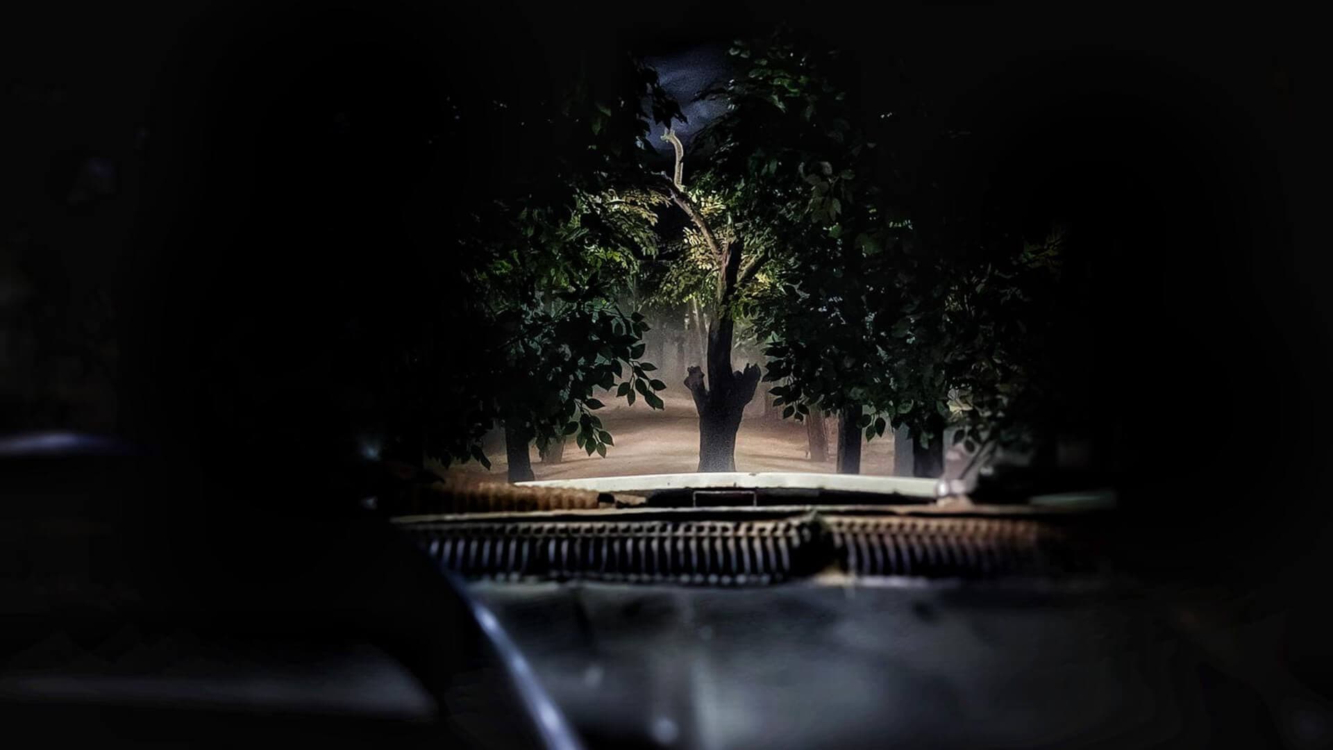 The Dark Forest 1