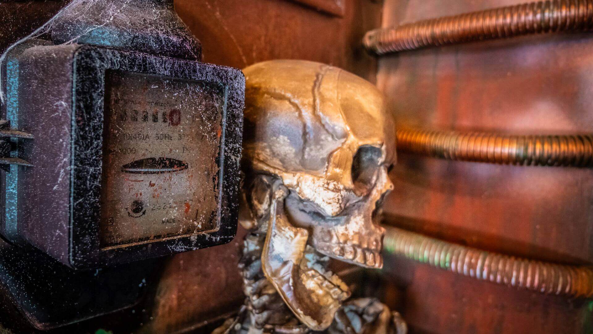 Jouw Escape Stories contactpersonen